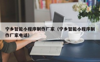 北流宁乡智能小程序制作厂家（宁乡智能小程序制作厂家电话）
