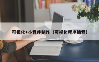 北流可视化+小程序制作（可视化程序编程）